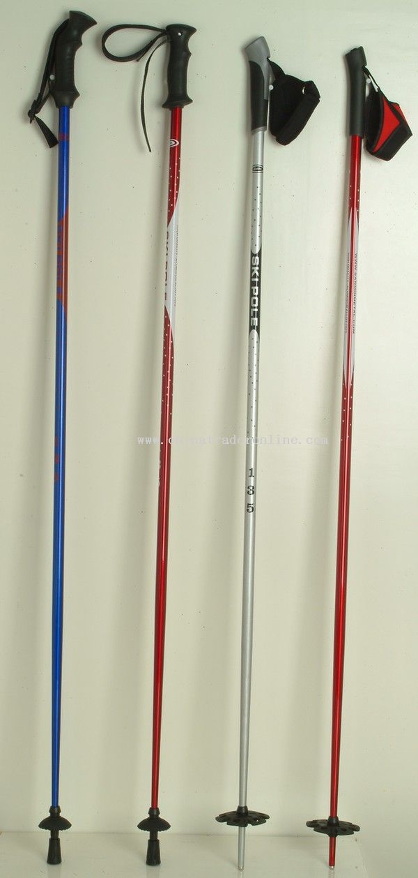 Ski Pole from China